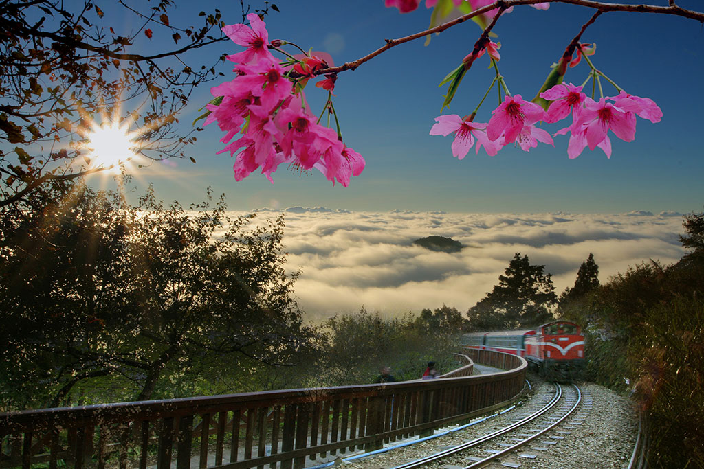 อุทยานแห่งชาติอาลีซาน (Alishan)