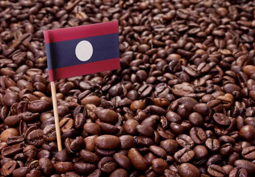 กาแฟลาว